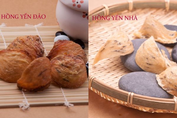 Hồng yến đào và hồng yến nhà